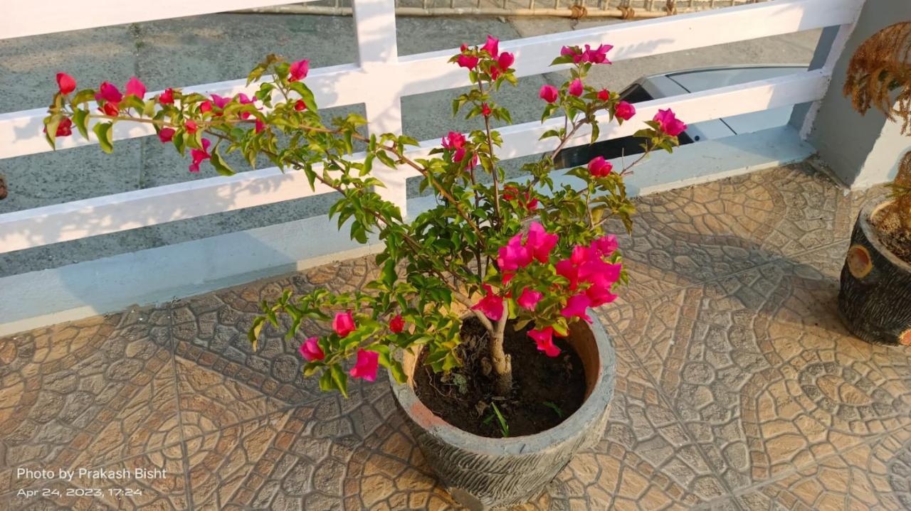 אלמורה Shivalik River Retreat מראה חיצוני תמונה